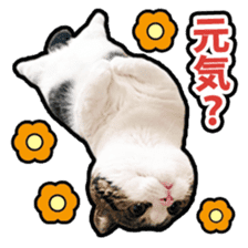 Tetsuro sticker for everyday life sticker #15847725