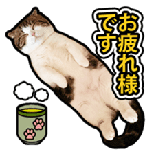 Tetsuro sticker for everyday life sticker #15847726