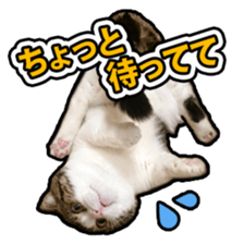 Tetsuro sticker for everyday life sticker #15847730