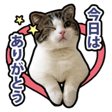 Tetsuro sticker for everyday life sticker #15847736