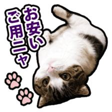 Tetsuro sticker for everyday life sticker #15847738
