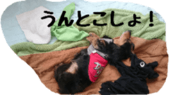 The feigned ignorance dachshund sticker #15847772