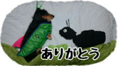 The feigned ignorance dachshund sticker #15847775