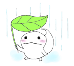 white lizard sticker #15847894