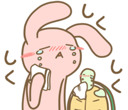 Rabbit and pet tortoise sticker #15848114