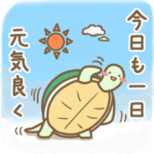 Rabbit and pet tortoise sticker #15848124