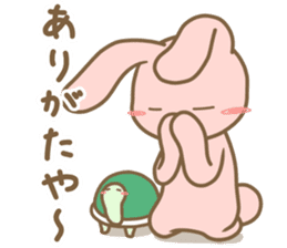 Rabbit and pet tortoise sticker #15848135