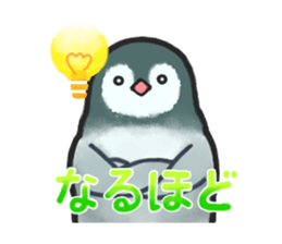 PE PE PENGUIN sticker #15848645