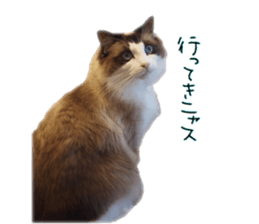 Mofumofu's of everyday sticker #15848683