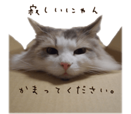 Mofumofu's of everyday sticker #15848687