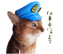 Mofumofu's of everyday sticker #15848688