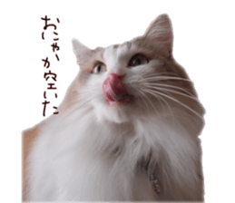 Mofumofu's of everyday sticker #15848690