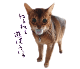 Mofumofu's of everyday sticker #15848691