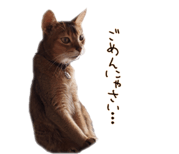 Mofumofu's of everyday sticker #15848694