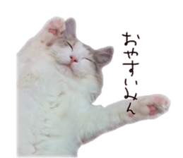 Mofumofu's of everyday sticker #15848696