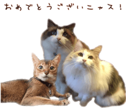 Mofumofu's of everyday sticker #15848697