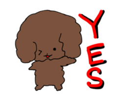 Toy poodle "Tyoko" sticker #15848793