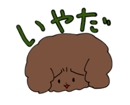 Toy poodle "Tyoko" sticker #15848798