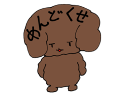 Toy poodle "Tyoko" sticker #15848800
