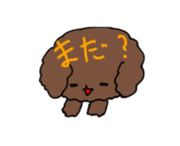 Toy poodle "Tyoko" sticker #15848801