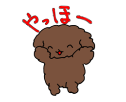 Toy poodle "Tyoko" sticker #15848802