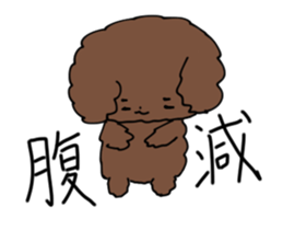 Toy poodle "Tyoko" sticker #15848808