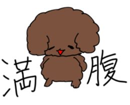 Toy poodle "Tyoko" sticker #15848809