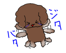 Toy poodle "Tyoko" sticker #15848817