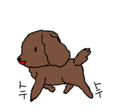 Toy poodle "Tyoko" sticker #15848825