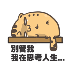 Ameowba Take --Odd sticker #15849189