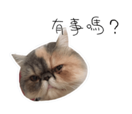 Banban sticker #15849259