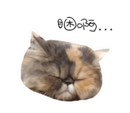 Banban sticker #15849262