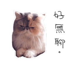 Banban sticker #15849264