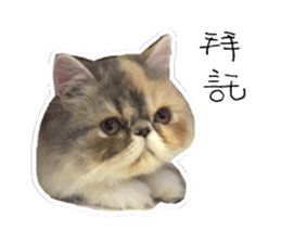 Banban sticker #15849265