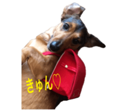 expressive Nuts 2 sticker #15849666