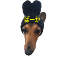 expressive Nuts 2 sticker #15849667