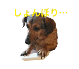 expressive Nuts 2 sticker #15849670