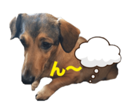 expressive Nuts 2 sticker #15849672