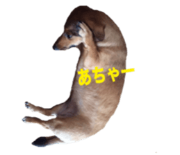 expressive Nuts 2 sticker #15849673