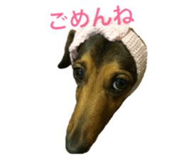 expressive Nuts 2 sticker #15849674