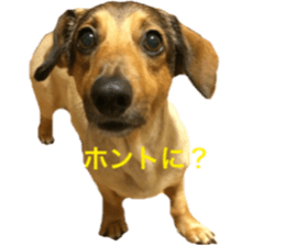 expressive Nuts 2 sticker #15849676