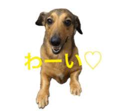 expressive Nuts 2 sticker #15849677