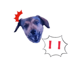 expressive Nuts 2 sticker #15849678