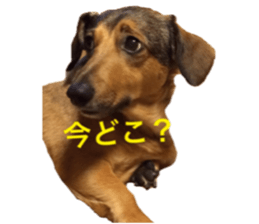 expressive Nuts 2 sticker #15849679