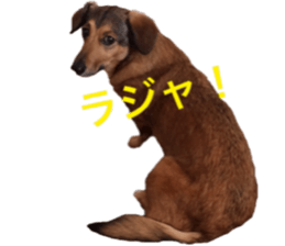 expressive Nuts 2 sticker #15849680