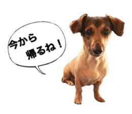 expressive Nuts 2 sticker #15849683