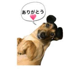 expressive Nuts 2 sticker #15849685