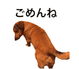 expressive Nuts 2 sticker #15849695