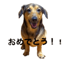 expressive Nuts 2 sticker #15849698