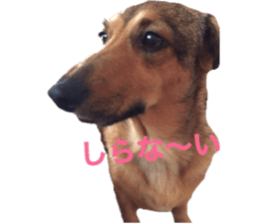 expressive Nuts 2 sticker #15849701